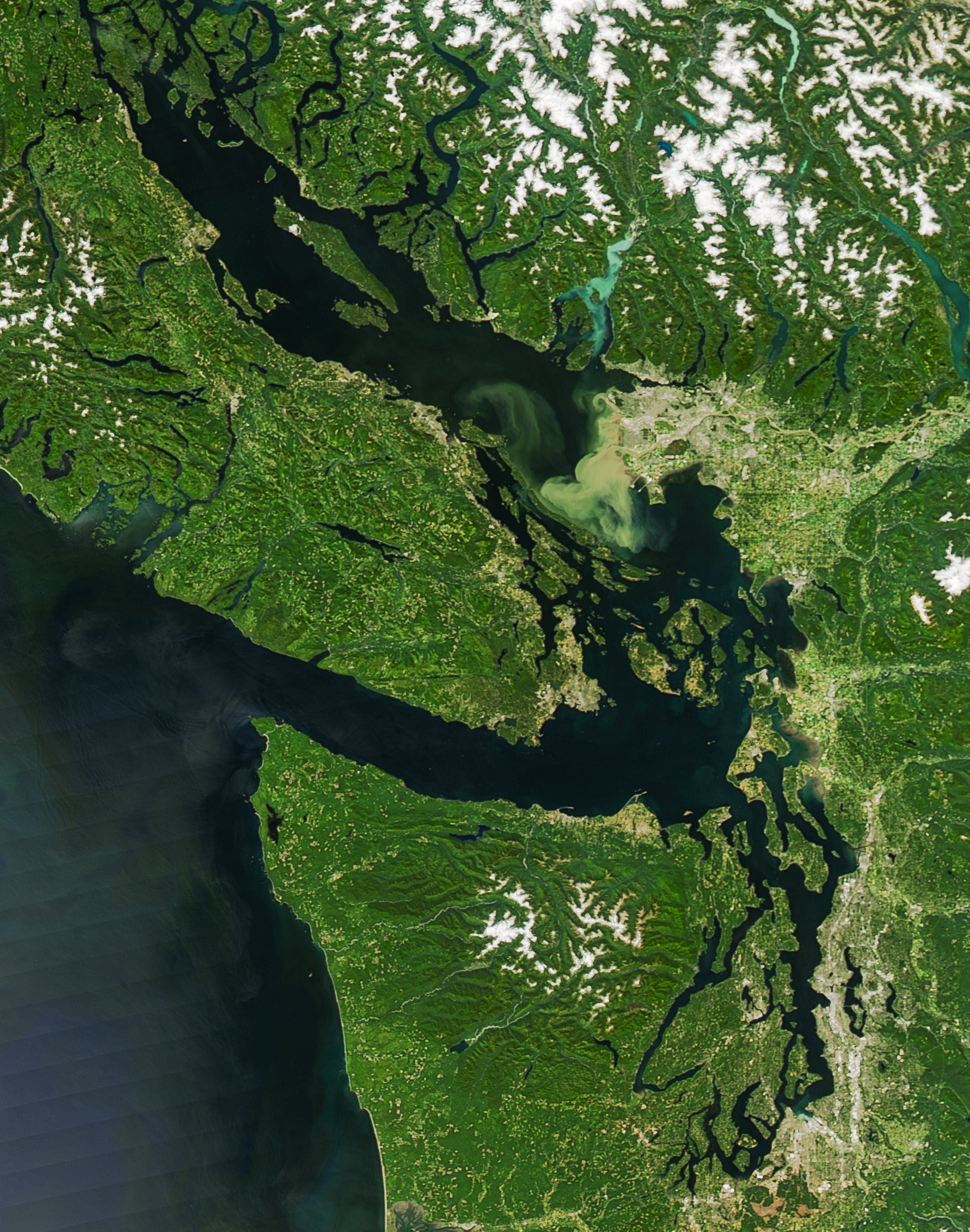 Aerial view of the Salish Sea and Pacific Northwest inlets
